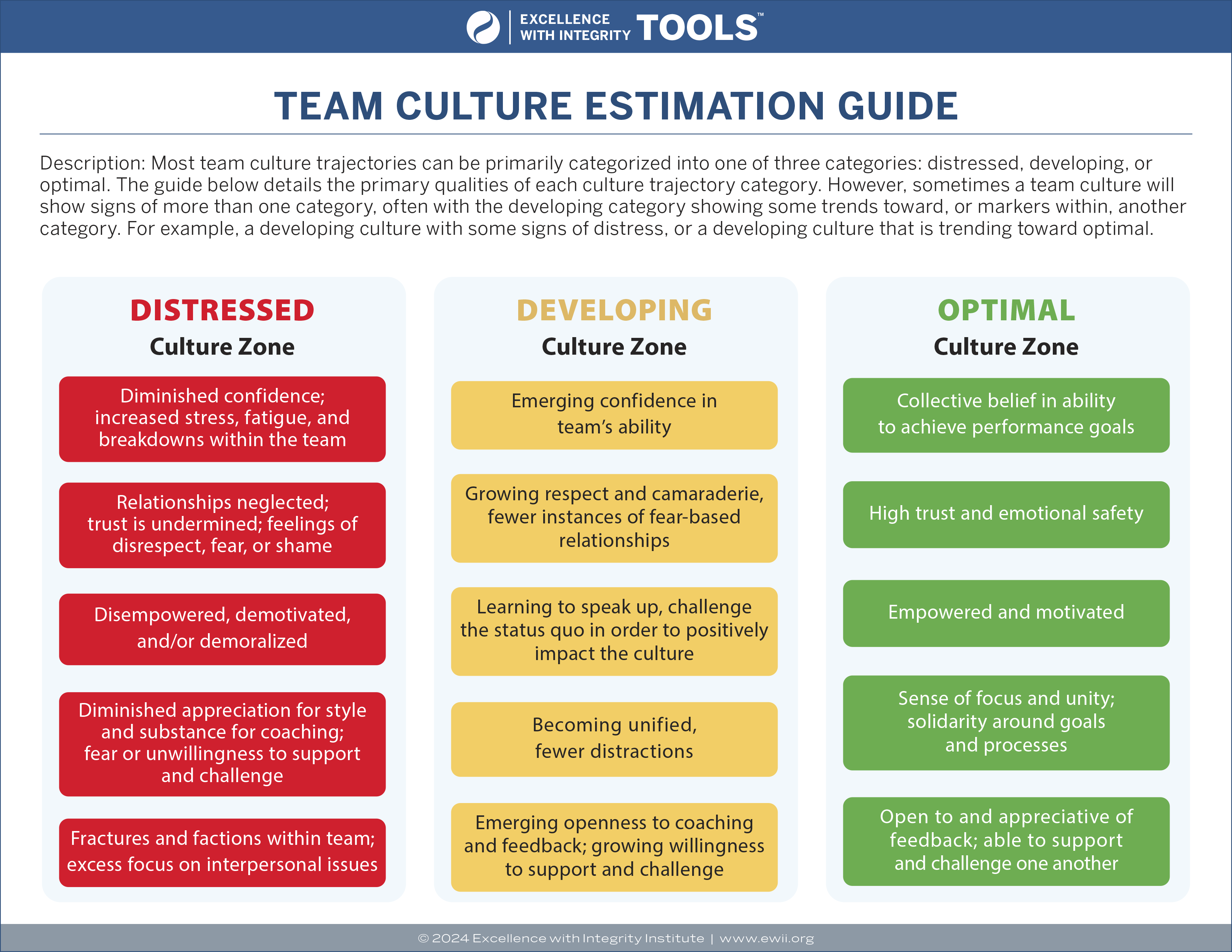 Team Culture and Identity in Sport
