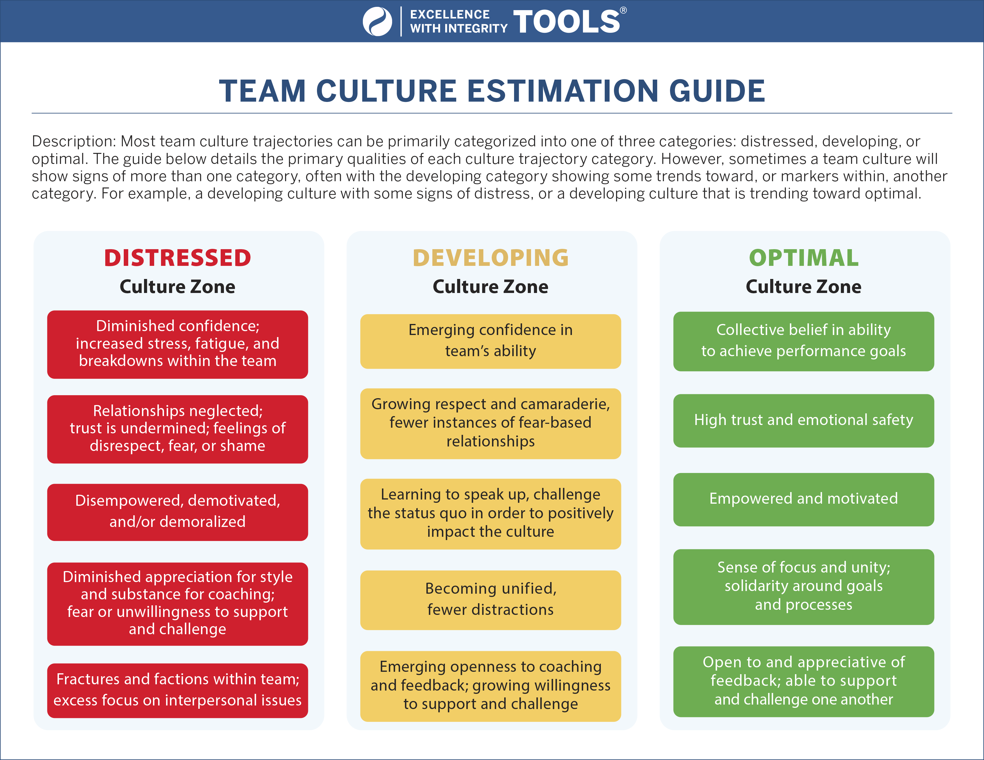 Team Culture and Identity in Sport